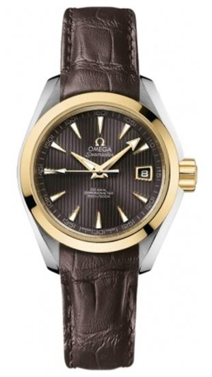 OMEGA Aqua Terra Co-Axial 30mm 231.23.30.20.06.002