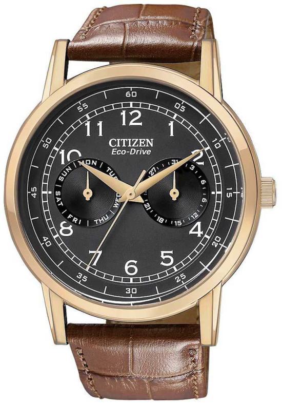 Hodinky Citizen AO9003-08E Straps