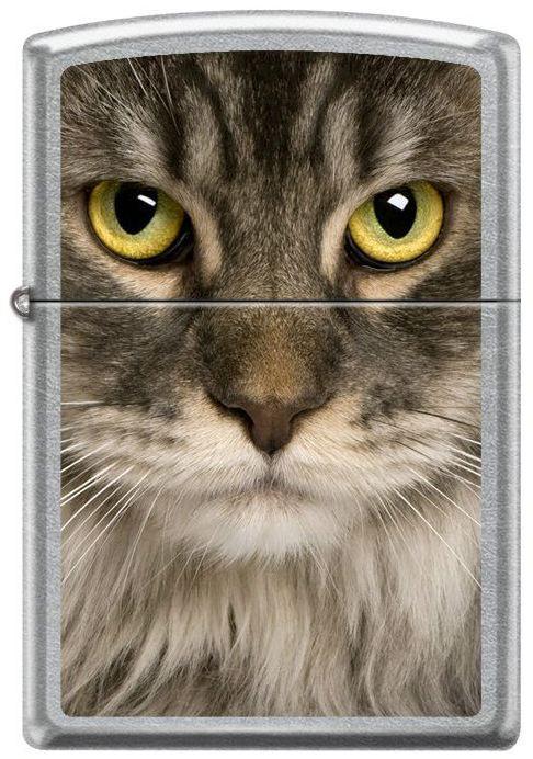 Zapaľovač Zippo Coon Cat 6116
