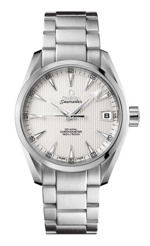 OMEGA Seamaster Aqua Terra 150m 231.10.42.21.02.001