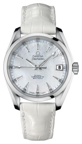 OMEGA Aqua Terra Co-Axial 38,5mm 231.13.39.21.55.001