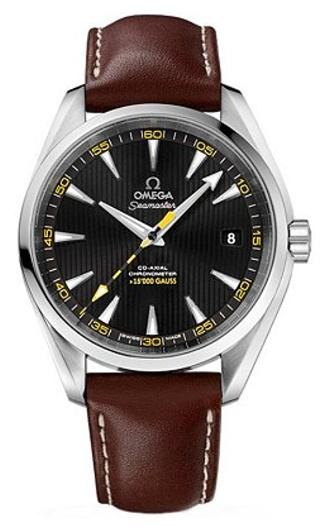 OMEGA Seamaster Aqua Terra 15 000 Gauss 231.12.42.21.01.001